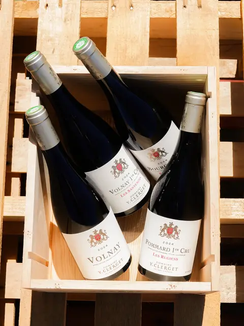 Arrosé 02