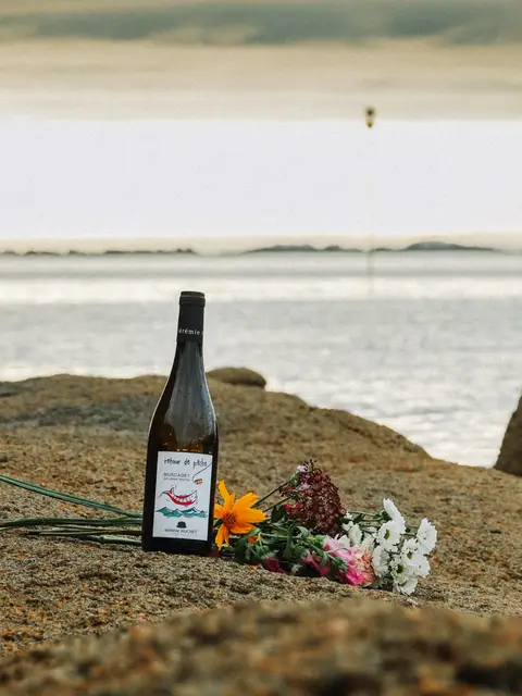 Arrosé 05