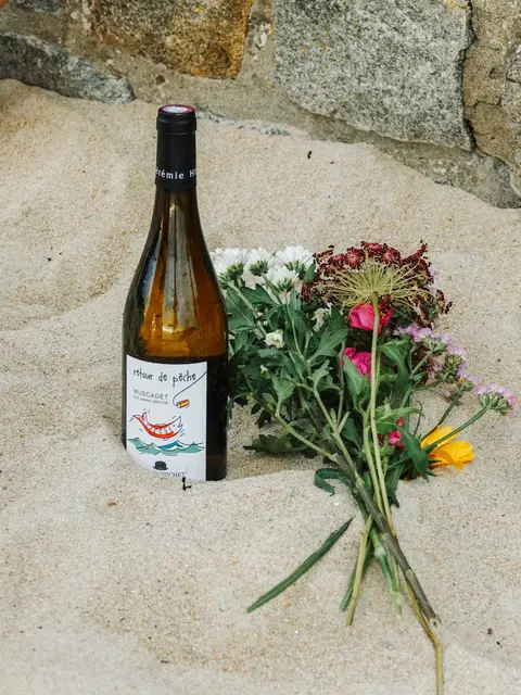 Arrosé 07