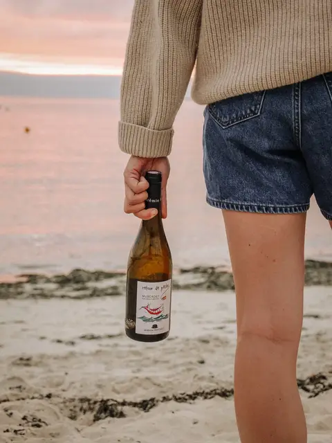 Arrosé 08