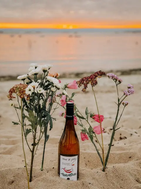 Arrosé 10