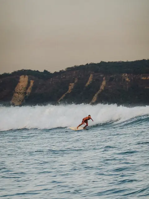 Surf
