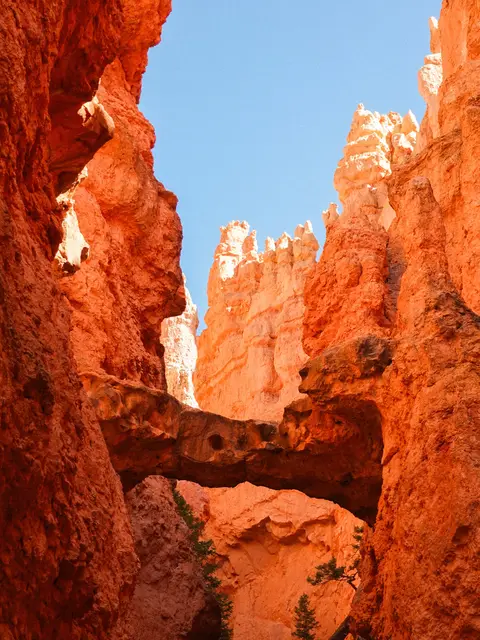National Parks 14