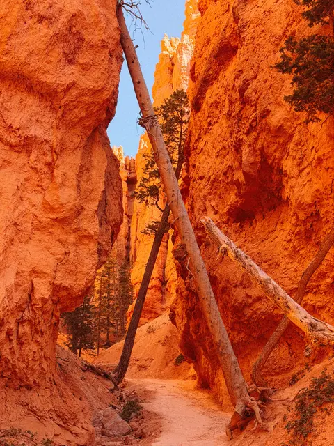 National Parks 16
