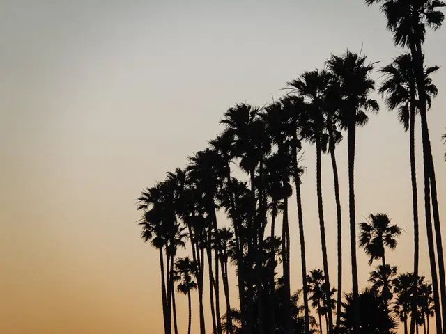 US West Coast 04
